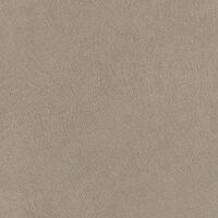 gris foncé