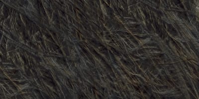 Vitrum Black