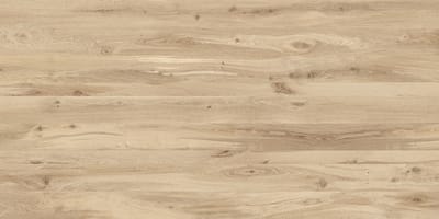 Blonde Oak