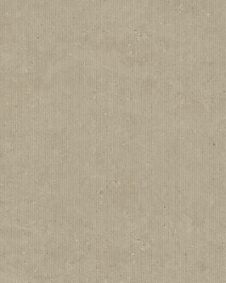 Light Grey Lane