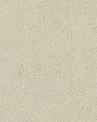 White Dot
