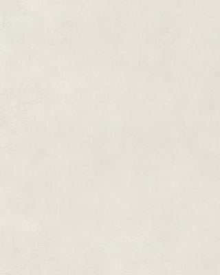 Light Grey Blur