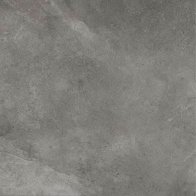 Leccese Fossile