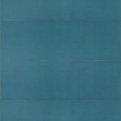 Ocean