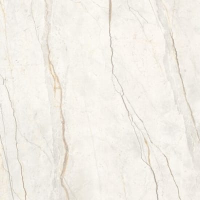 Silver Root White