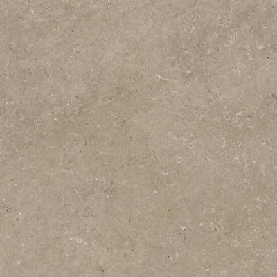 Limestone Taupe