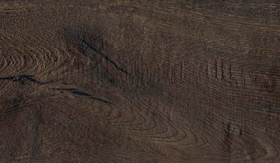Quercia