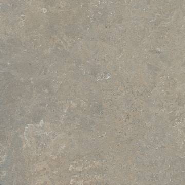 fossil