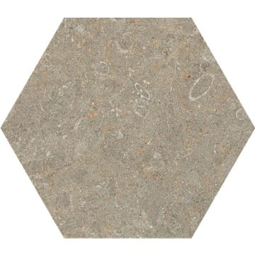 fossil_2