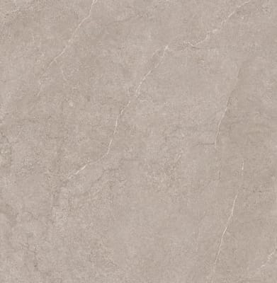 light_grey