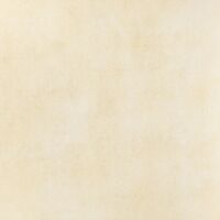 blanc-extra white