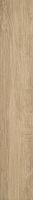 beige-beige