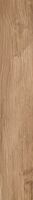 marron-brown
