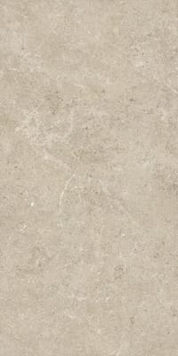 light_grey