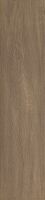 marron-brown