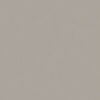 350 uni gris clair