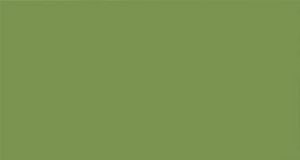 sensation kiwi