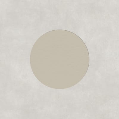 Globe Skin