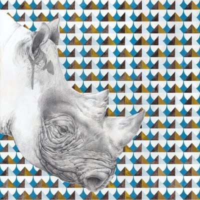 Rhino