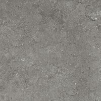 gris belge ne 31