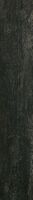 charcoal nn 05