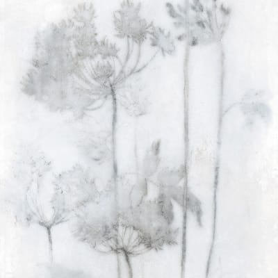 Espoir Froid