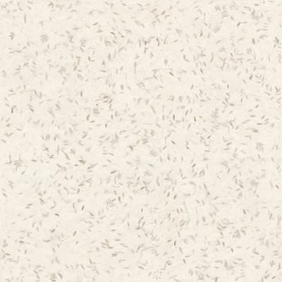 Hanji Beige