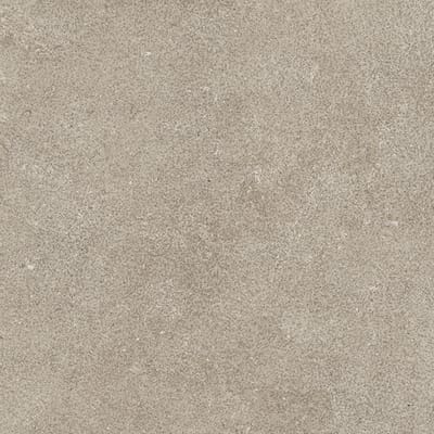 Hammered Safari