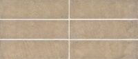 wall rust