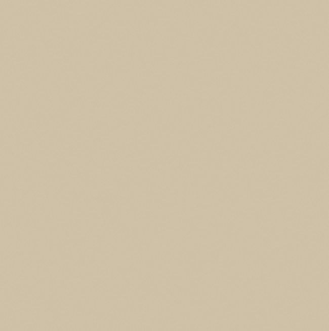 chamois