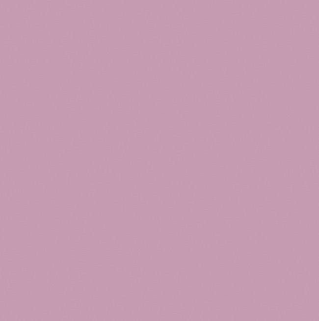 cyclamen