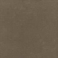 300 evolution taupe