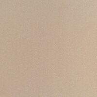 500 evolution beige