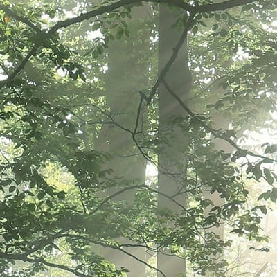 brushwood