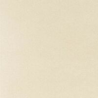 beige tenue