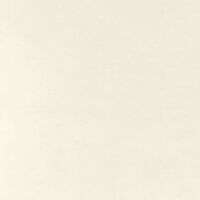 bianco denso