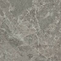 sandy grey