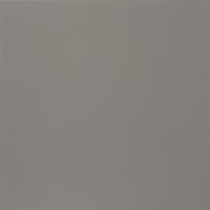 neutral gris natural