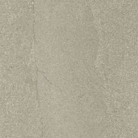 5029 gris rectificado