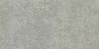 4207 gris