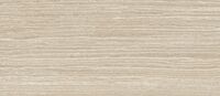 6617 sand rectificado