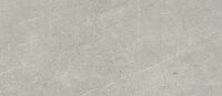 6613 silver rectificado