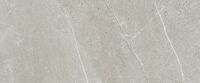 8211 silver