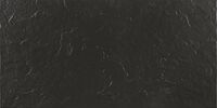 3006 negro