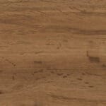 Corteccia