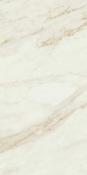 avorio glossy rt