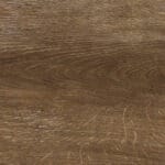 Cannella