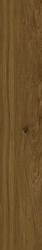 walnut rt