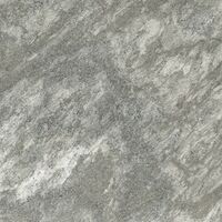 pacific grey r