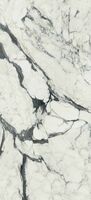 calacatta altissimo blanc
